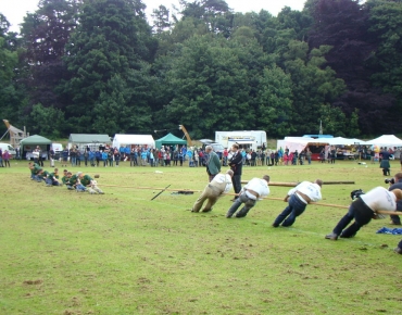 DSC06984_opt