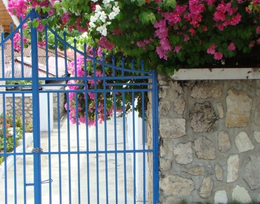 DSC05644_opt