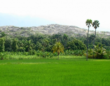 DSC05696_opt