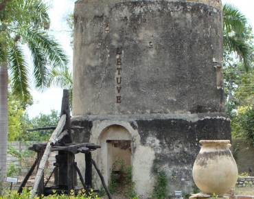 DSC05784_opt