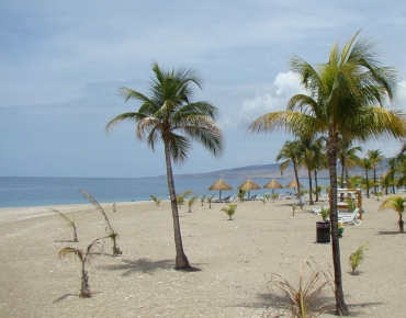 DSC05835_opt