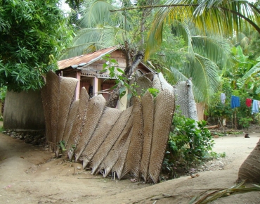 DSC05954_opt