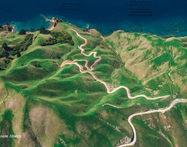 New-Zealand_AlexSiale