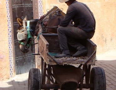 DSC07995_opt