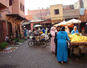DSC07996_opt