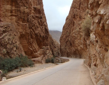 DSC08444_opt