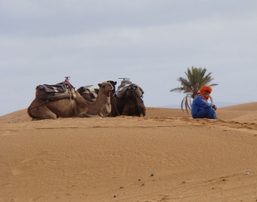 DSC08546_opt